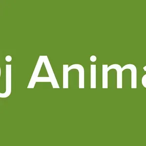 Dj Animal