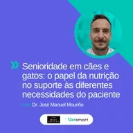 Senioridade em cães e gatos: o papel da nutrição no suporte às diferentes necessidades do paciente