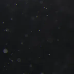 É o walker né vidaa