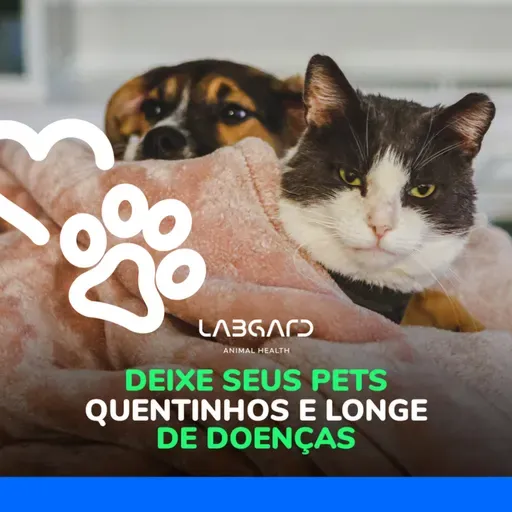 Episódio 75 - Pets no inverno: saiba como proteger cães e gatos dos perigos do frio!