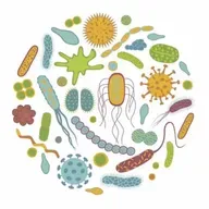 Episodio 82. Somos virus y bacterias.