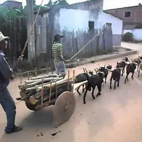 Sind Produtor Rural Pocrane Mg