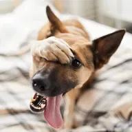 Top10 #El Peor Chiste Que Puedes Contar