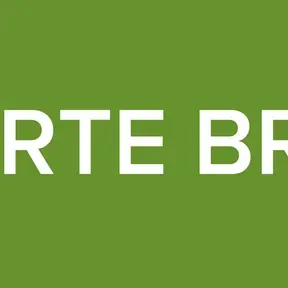 REPORTE BRION3