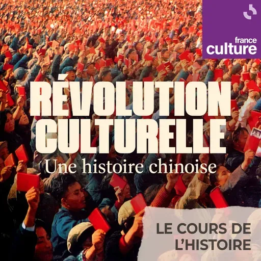 Révolution culturelle, une histoire chinoise : Chine et Révolution culturelle, des mémoires sous contrôle