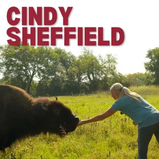 Regeneration Starts From Within - Cindy Sheffield | #89