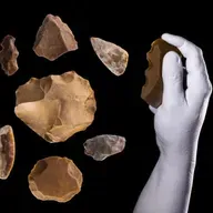 Los neandertales: características, yacimientos y causas de extinción