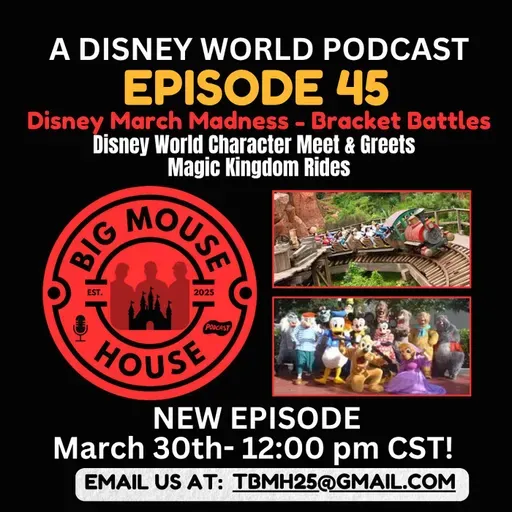 Episode 45: Magic Kingdom Rides & Character Meet & Greets | Disney Bracket Showdown