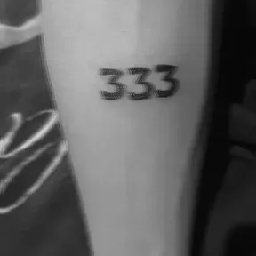 GROEN333_