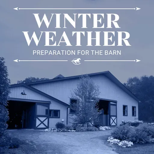 Winter Weather Preparation for the Barn - The Horse HealthCast with SmartEquine