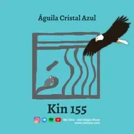 Kin 155 - Águila Cristal Azul