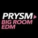 Prysm Radio - EDM Big Room