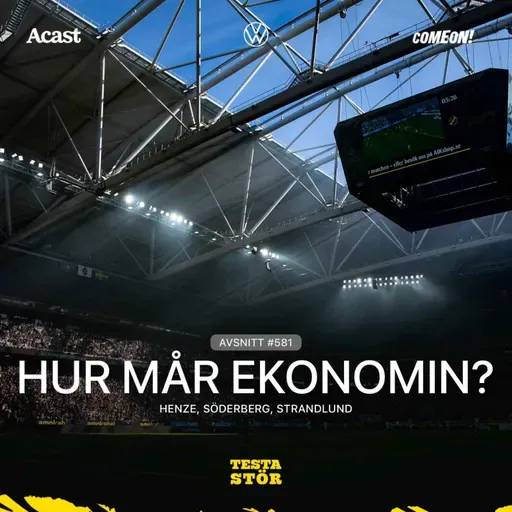 581. Hur mår ekonomin?