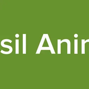 Brasil Animes
