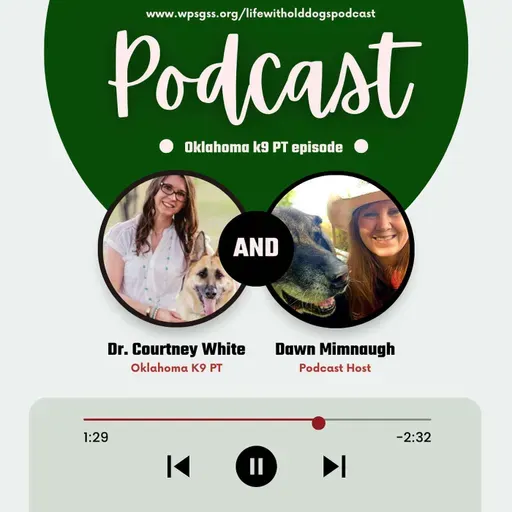 The Role of Physical Therapy for Senior Dogs with Dr. Courtney White