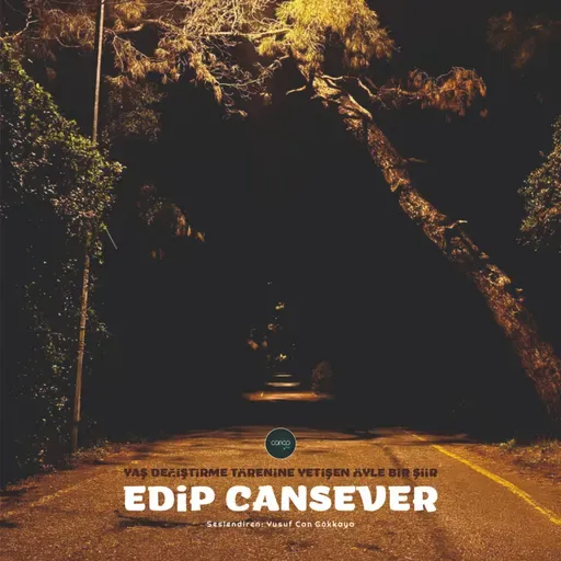 Şiir | Edip Cansever - Yaş Değiştirme Törenine Yetişen Öyle Bir Şiir