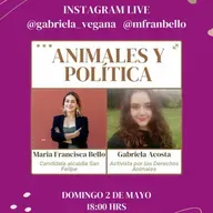 Animales y Política con María Francisca Bello y Gabriela Acosta