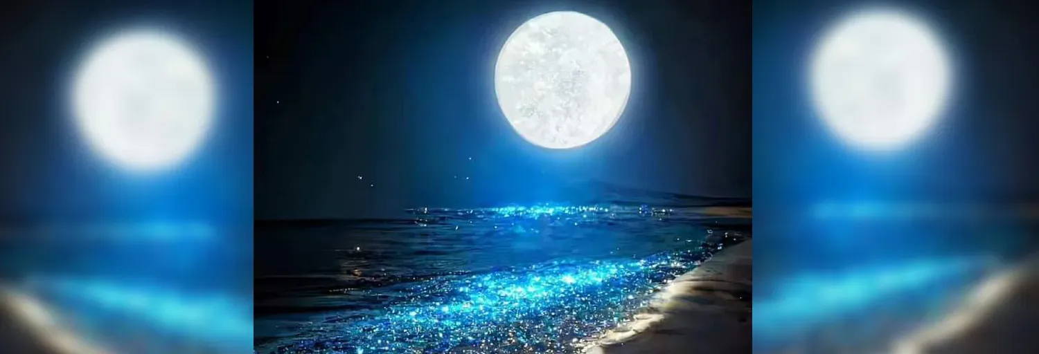 ENTRE EL SOL Y LA LUNA