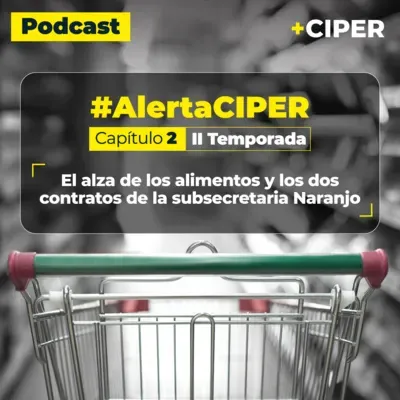 Podcast / El alza de los alimentos y los dos contratos de la subsecretaria Naranjo
