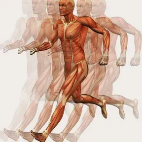 CUERPO EN MOVIMIENTO