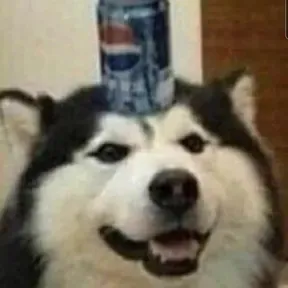 BucketRadio
