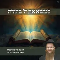 למצוא את ה׳ בתורה | מאור עיניים לפרשת תצוה