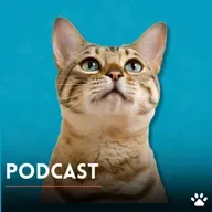 Fortalece tu vínculo con consejos de veterinarios