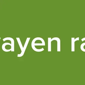 le sitwayen radio tv