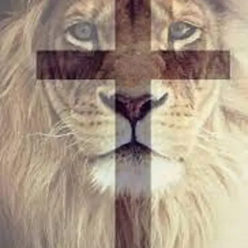 Louvores e Adoração 2022 - As Melhores Músicas Gospel Mais Tocadas 2022 - gospel 2022