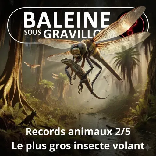 S07E145 Vous avez dit bizarre ? Records 2/5 : Des libellules préhistoriques de... 80 cm !