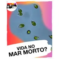 Como a vida se adapta em um dos ambientes mais extremos da Terra?