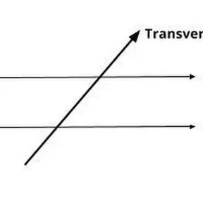 La transversal