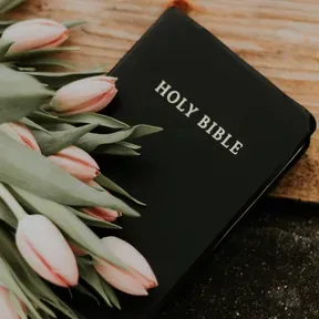 iBible