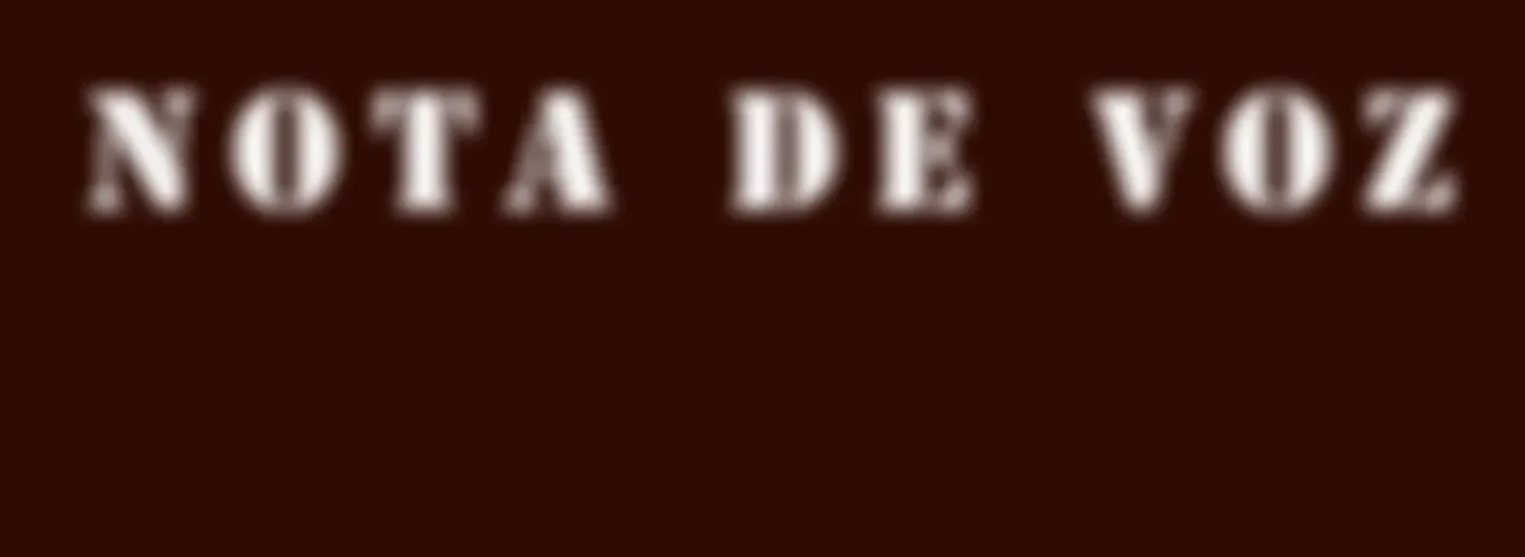 Nota de Voz