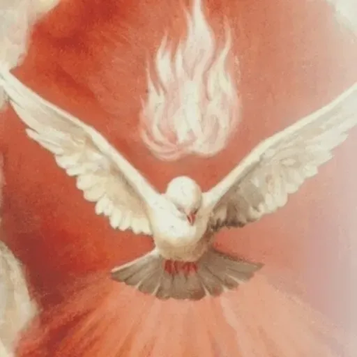 Meditación. Pentecostés: docilidad al Espíritu Santo