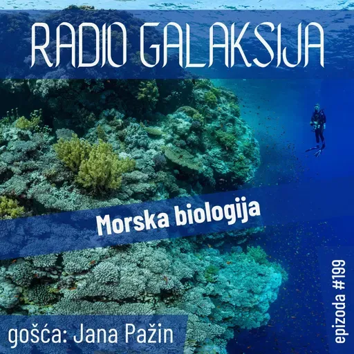 Radio Galaksija #199: Morska biologija (Jana Pažin) [13-05-2025]