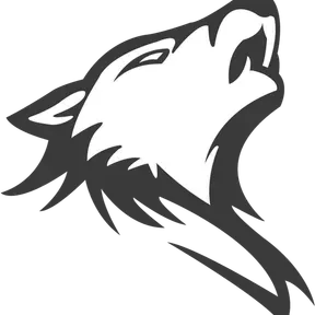 T WOLF RADIO