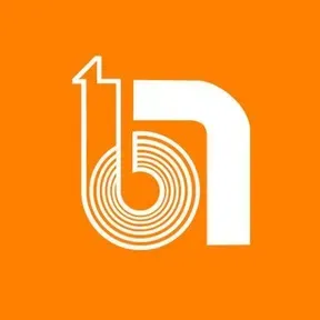 Radio Buena Nueva Linares en vivo
