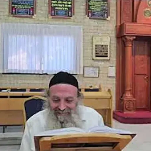 הרב מאיר כהן | חידושו של רבנו המשנה למלך נ"ע בעומקו של חג שבועות לנופלים שלא מצליחים אבל עדיין רוצים