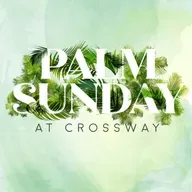 Looking for Peace on Palm Sunday