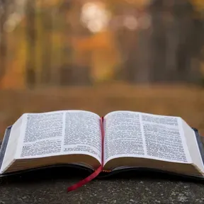 radio Evangelica Semeando a verdade