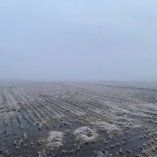 朝ラン-3℃。真っ白な朝と寝坊と金縛りと2025年印象に残った出来事ベストテン第2回。#1714 from Radiotalk