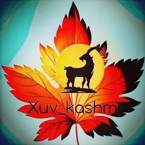 Xuvkashmir