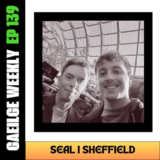 #139: Seal i Sheffield