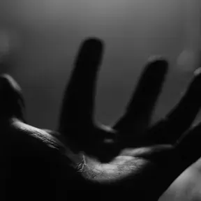 Alegando Esquizofrenias