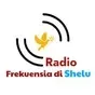 Radio Frekuensia di Shelu