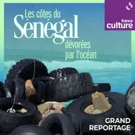 Les côtes du Sénégal dévorées par l'océan 1/5 : "Nous avons peur, nous sommes toujours menacés par l'avancée de la mer et jusqu'à présent, sans solutions"