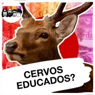 De onde veio a reverência dos cervos de Nara?