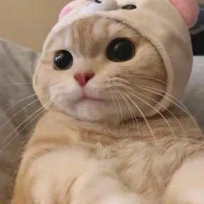 lamiamiu