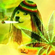 Anything Goes - 420 / DOGE Edtion!